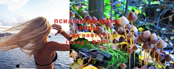 прущая мука Лабытнанги