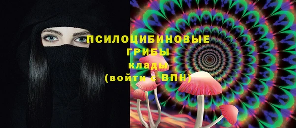 прущая мука Лабытнанги