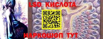индика Гай