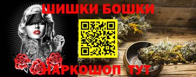 индика Гай