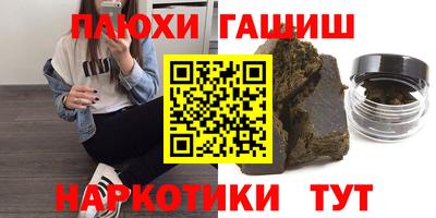 индика Гай