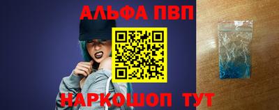 индика Гай