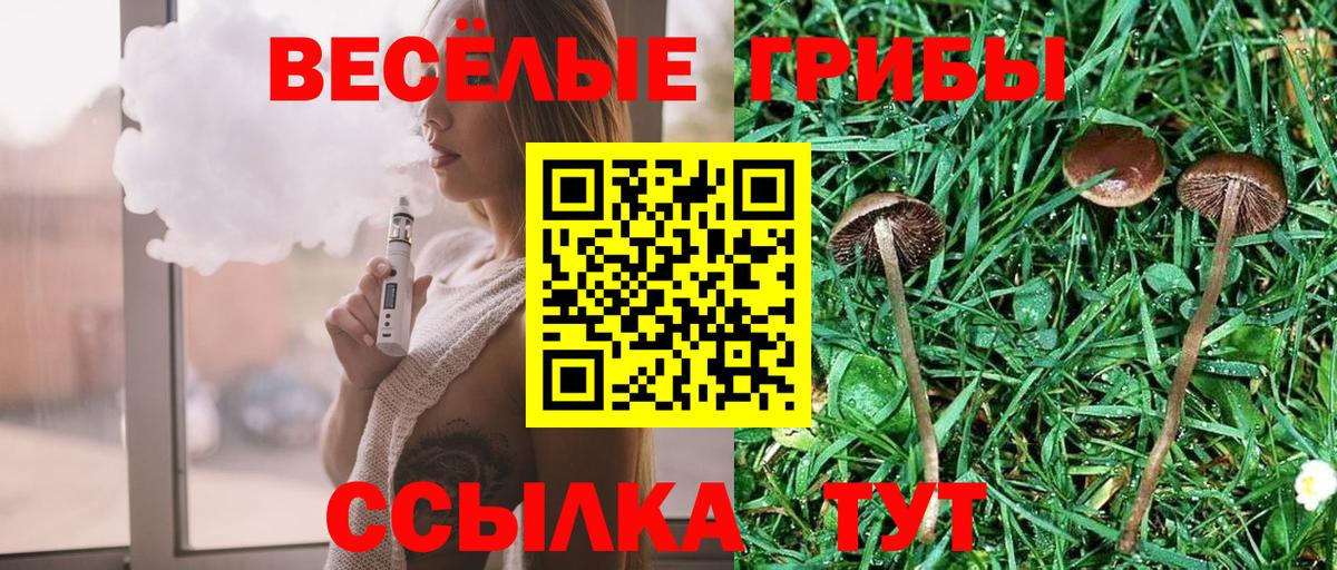 Шуя  Галлюциногенные грибы Psilocybe  Вход с VPN  Галлюциногенные грибы мухоморы 