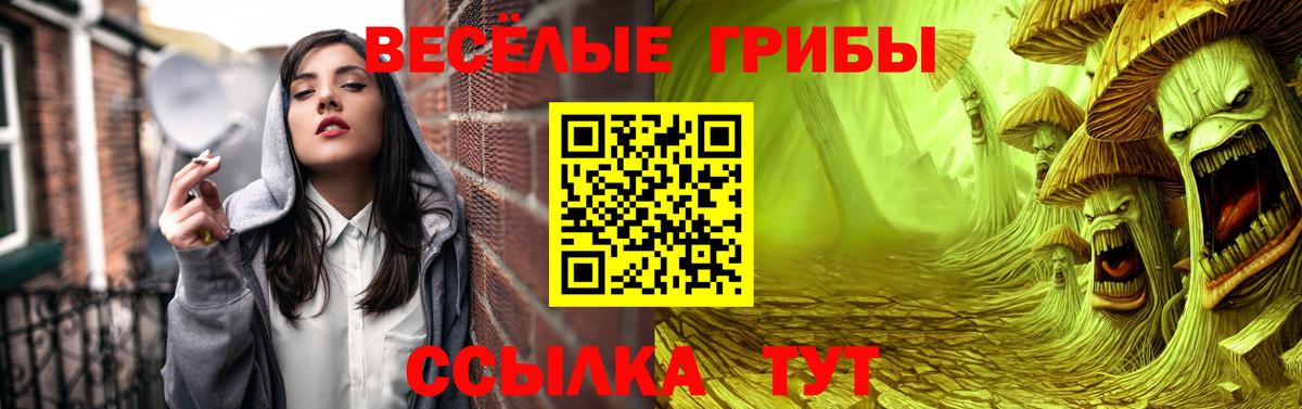 Псилоцибиновые грибы ЛСД Шуя